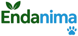 Endanima Logo